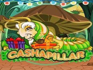 Cashapillar